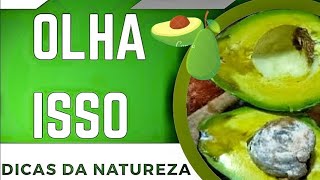 COMO FAZER VITAMINA DE ABACATE  BENEFÍCIOS E CURIOSIDADES how to make avocado vitamin [upl. by Aramoj]