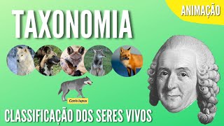 TAXONOMIA  CLASSIFICAÇÃO DOS SERES VIVOS  Animação [upl. by Xantha]