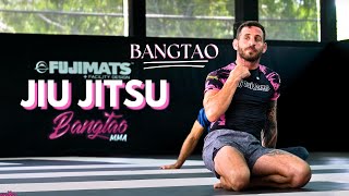 WEEKLY RECAP  Bangtao Jiu Jitsu  BJJ  Alex Schild [upl. by Negaet932]