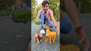 Two Remote Control Lion 🐅 and Deer unboxing 🦌 [upl. by Fancie]