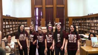 Mepham LipDub 2013 [upl. by Enicnarf460]