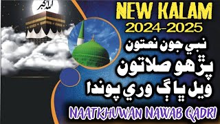 New Kalam 20242025  Perho Salwaton Wayal Bhag Wari Pawanda  Nawab Qadri  New Album 2025 [upl. by Ane]