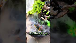 WOW Best Mist Maker Fogger aquarium fishtank aquariumsetup [upl. by Bilski]