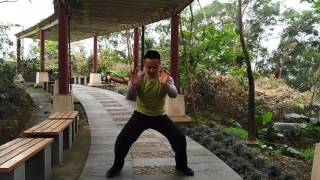 Taoist Dantian Qi gong training  Tiger claw paw [upl. by Siana]