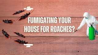 Fumigating Your House for Roaches Heres What You Must Know [upl. by Tehr]