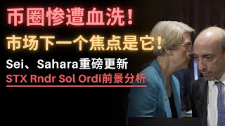 币圈下个热点来袭，这币潜力极大！我出手了！币圈一夜爆仓百亿，3000亿市值蒸发！比特币危？千万不要误判！Sei、RNDR、Sahara有何巨大利好？STX、Sol、Ordi、Ai前景分析！巨鲸最看好它 [upl. by Prent]