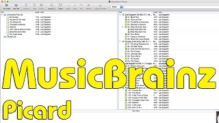 Musicbrainz Picard [upl. by Nodnol]