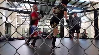 WKF Philippines Top Savate Muay Thai Kickboxing Video  Cage Fighting [upl. by Eeslehc]