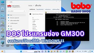 DOS โปรแกรมช่อง MOTOROLA GM300 Programming ON WIN11 [upl. by Ailisab]