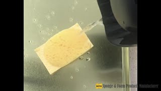 The Water Absorbing Ability Of The Nontoxic Biodegradable Compressed Cellulose Sponge [upl. by Glori]