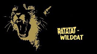 Ratatat  WildCat 1 hour version [upl. by Fredek651]