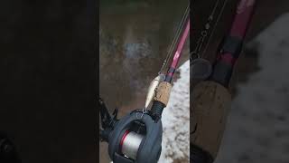 BEST budget BAITCASTER shorts fishing bassfishing [upl. by Llezom]