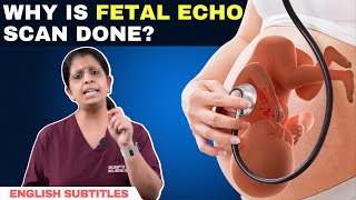 Why is fetal echo scan done  கருவிலேயே குழந்தையின் இதய குறைபாடுகளை கண்டுபிடிக்க முடியமா [upl. by Carrie]