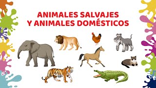 Animales salvajes y animales domésticos  video infantil [upl. by Velma]