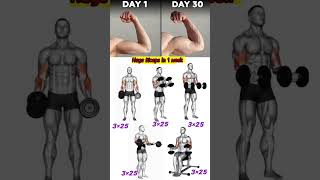 One week biceps challenge shorts trending indianshorts bicepsworkout [upl. by Eleira]