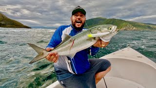 Pesca de Anchova no pincho Ilhabela Brasil litoral norte de São Paulo guia de pesca Buzyfish [upl. by Ava184]