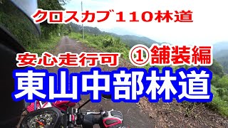 林道クロスカブ110 ツーリング 東山中部林道①舗装編 [upl. by Maurizio]