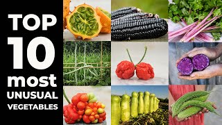 TOP 10 Most Unusual Vegetables [upl. by Modla273]