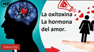 EXPLICACION CIENTIFICA DEL AMOR [upl. by Aihsat231]