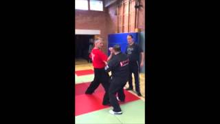 American Kenpo 50 Germany [upl. by Romeyn437]