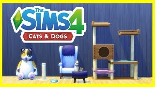 IS IT WORTH IT The Sims 4 Cats and Dogs Build and Buy Review [upl. by Caldwell]