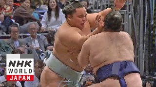 GRAND SUMO Day 9 of the November 2024 Tournament  GRAND SUMO Highlights [upl. by Fishbein]