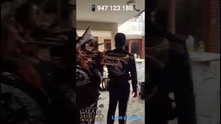 El Son de La Negra  Mariachi Gala de México  947 123 180 [upl. by Eentihw]