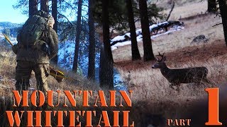 Ground Hunting Whitetail Deer with Primitive Recurve Bow Spot and stalk [upl. by Lodie]