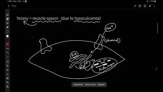 Tetany Mechanism  Hypocalcemia  Ayman Akif [upl. by Bickart519]