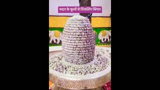 HealthyfyYourself by PragyaRaiमदार के फूलों से decorated भगवान शिव की शिवलिंग अदभुत🙏healthshorts [upl. by Inalel]