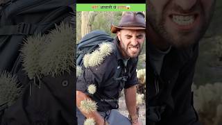 Cactus कांटे आसानी से हटाएं😱 [upl. by Ahsenauq]