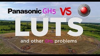 GH5 vs RED the struggle is real  My new issue with GH5  using luts in for quick turnaround [upl. by Benjie]