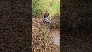 Pond Overflow Pipe permaculture ponds landscaping drainage woodland motivation ideas [upl. by Meekah]