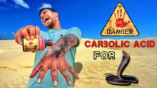 How to use Carbolic Acid Properly 🐍 [upl. by Putnem404]