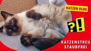 Staubfreies Katzenstreu Test quotPremierequot Fressnapf [upl. by Lorita]