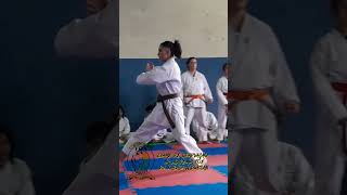 Exame de graduação na Academia Fox de Karate Alborcan karatedo Alborcan [upl. by Ear]