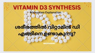 ശരീരത്തിൽ വിറ്റാമിൻ ഡി എങ്ങിനെ ഉൽപാദിപ്പിക്കപ്പെടുന്നു വെയിൽ കൊണ്ടാൽ എങ്ങിനെ വിറ്റാമിൻ ഡി ലഭിക്കും [upl. by Aztinaj114]