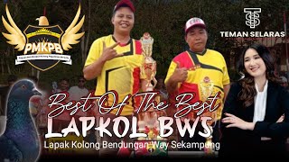 Paguyuban Merpati Kolong Pagelaran Bersatu‼️Best Of The Best 💥 Lapkol BWS Bumiratu [upl. by Romney770]