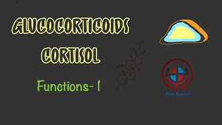 Glucocorticoid Cortisol Functions Effects on body Part1 Physiology Pharmacology MBBS NEET [upl. by Kelcey345]