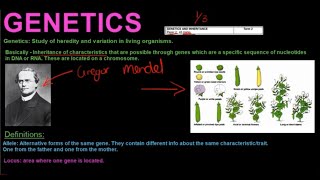 Gr 12 Life Sciences Genetics and Inheritance Part 1 [upl. by Niuq]