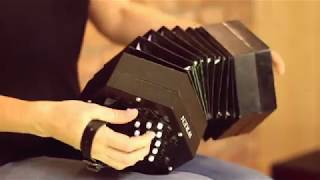 The Wren 2 Concertina [upl. by Oppen]