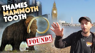 Finding a MAMMOTH tooth Mudlarking in London plus loads more finds [upl. by Alded]