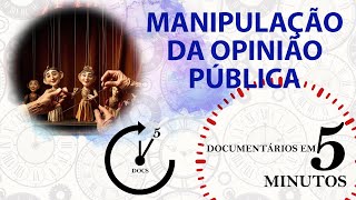 RESUMO MANIPULAÇÃO DA OPINIÃO PÚBLICA [upl. by Lennox]