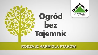 Jakie są rodzaje pokarmów dla ptaków i czym najlepiej je karmić Leroy Merlin  Ogród bez Tajemnic [upl. by Anerul]