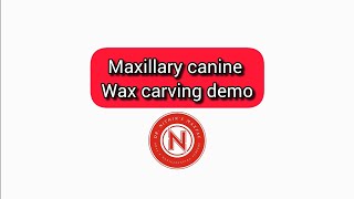 Maxillary canine carving demo Dr NithinK [upl. by Lizette]