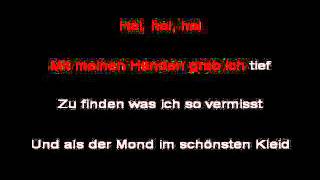 Rammstein  Heirate Mich instrumental with lyrics [upl. by Akilat649]