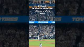 Dodgers 1st Walkoff Grand Slam in history of World Series dodgers worldseries2024 worldseries [upl. by Wivinia171]