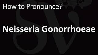 How to Pronounce Neisseria Gonorrhoeae CORRECTLY [upl. by Sommers]