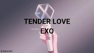 quotTENDER LOVEquot  EXO  EASY LYRICS [upl. by Bullard]