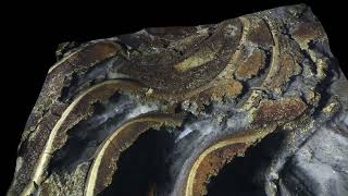 3D Goniatite Close Up Middle Devonian [upl. by Otter577]